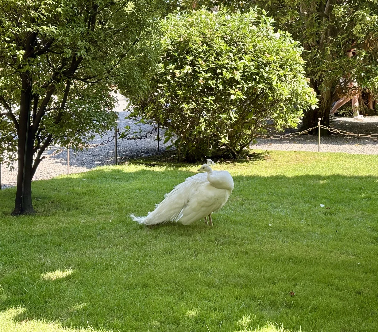 马焦雷湖：低调从来不是不够美，而是不张扬