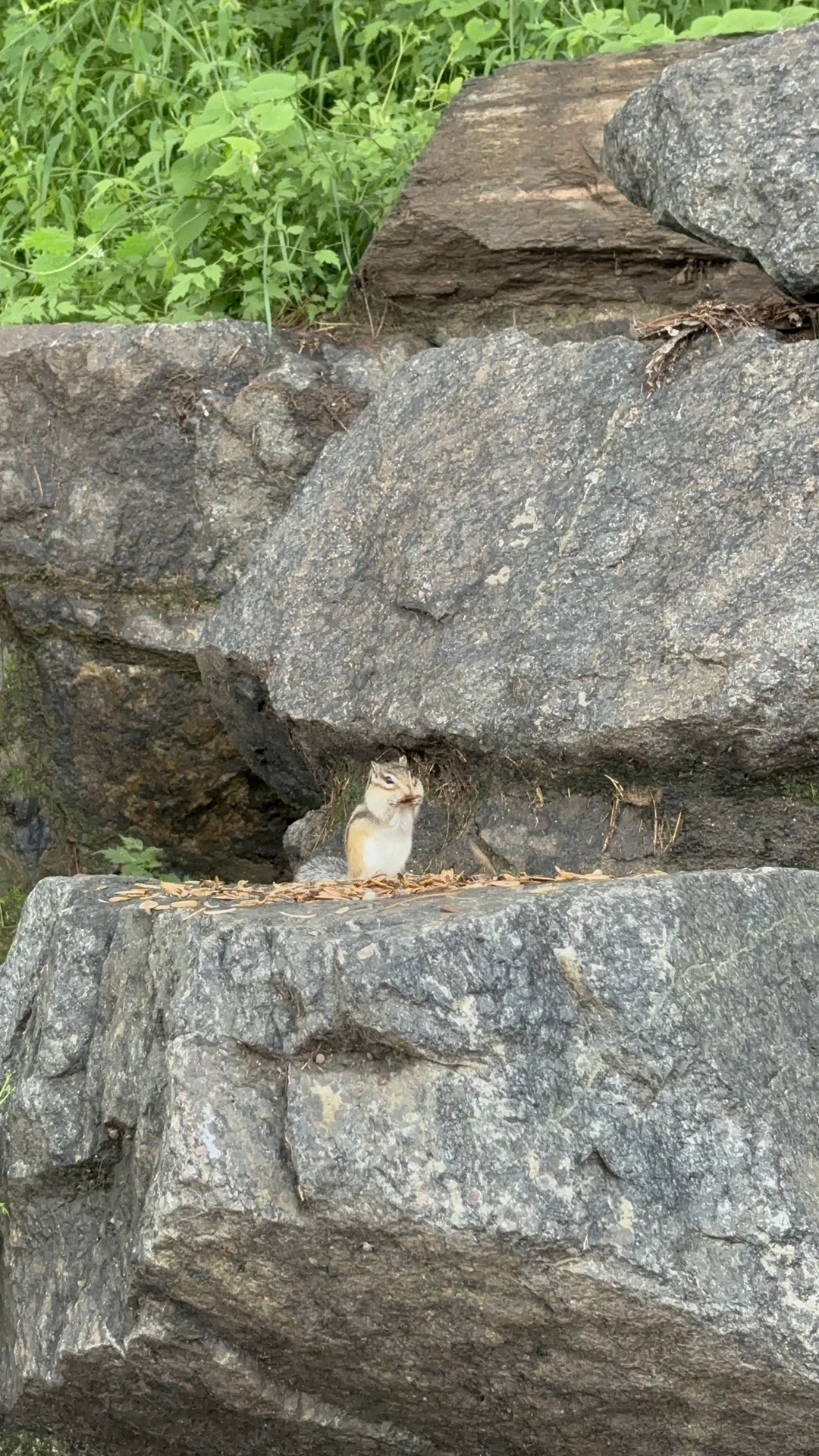 承德避暑山庄一个玩过最贵的景点