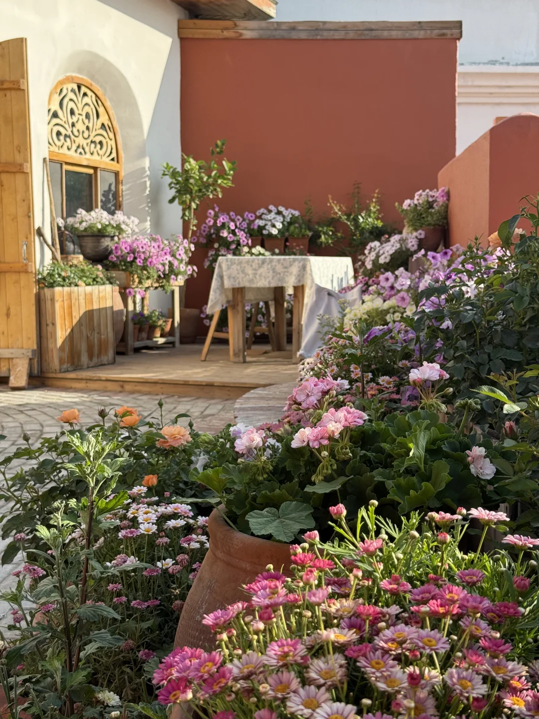 从新疆回来，一点不想上班😭