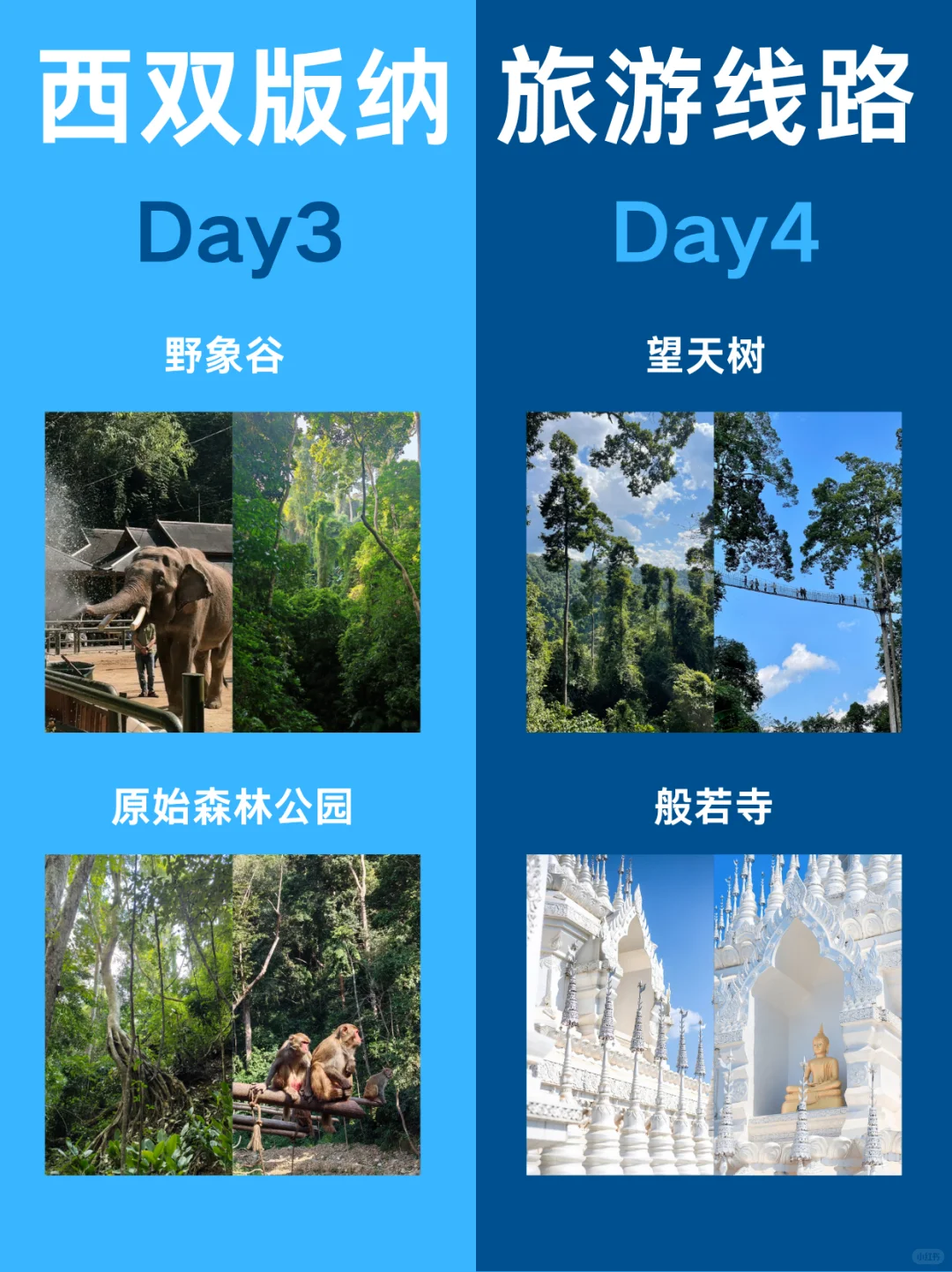 西双版纳哪些景点值得玩❓整理清楚了