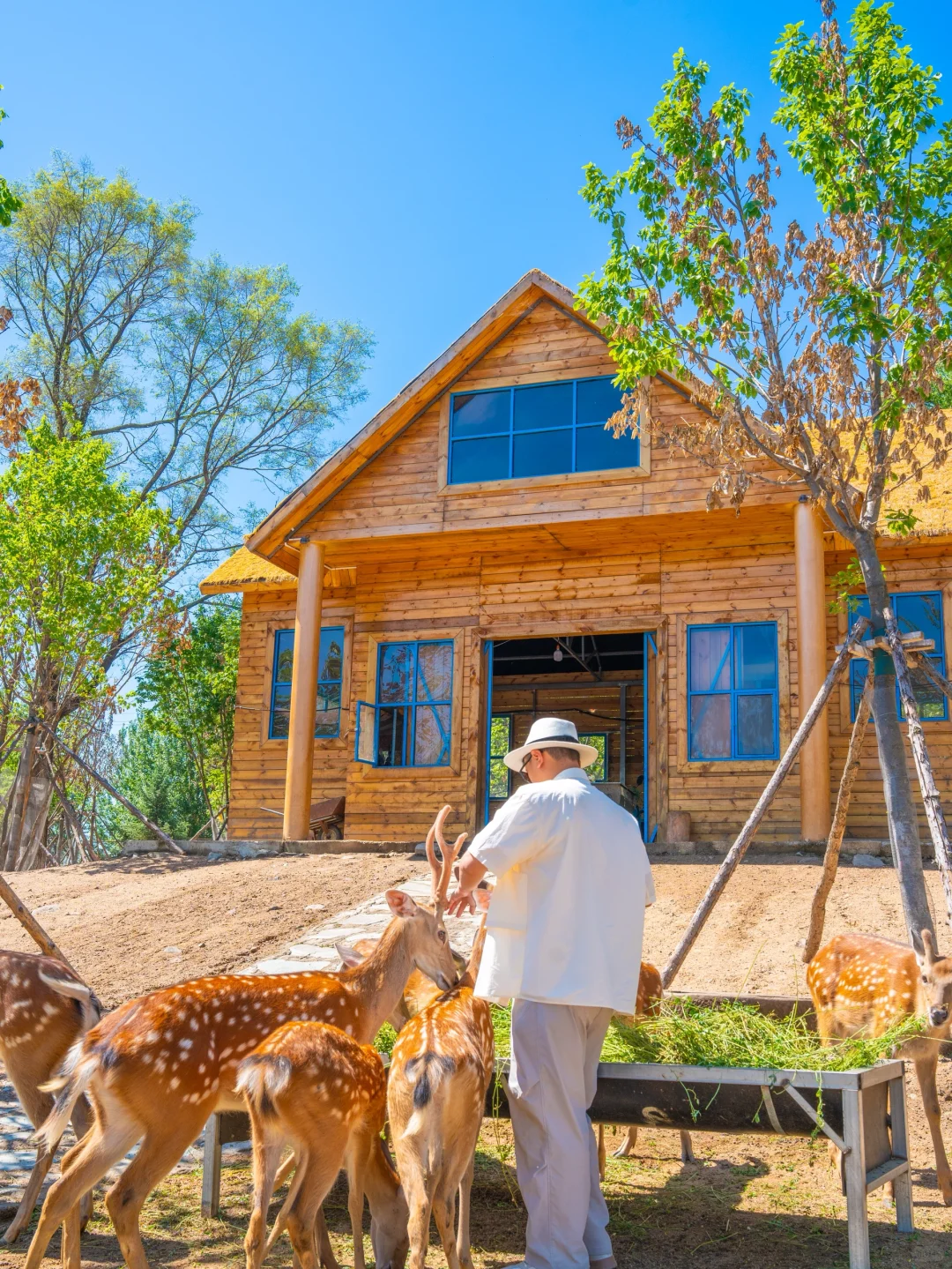 假期反向旅游，发现今年最爱的宝藏小城‼️