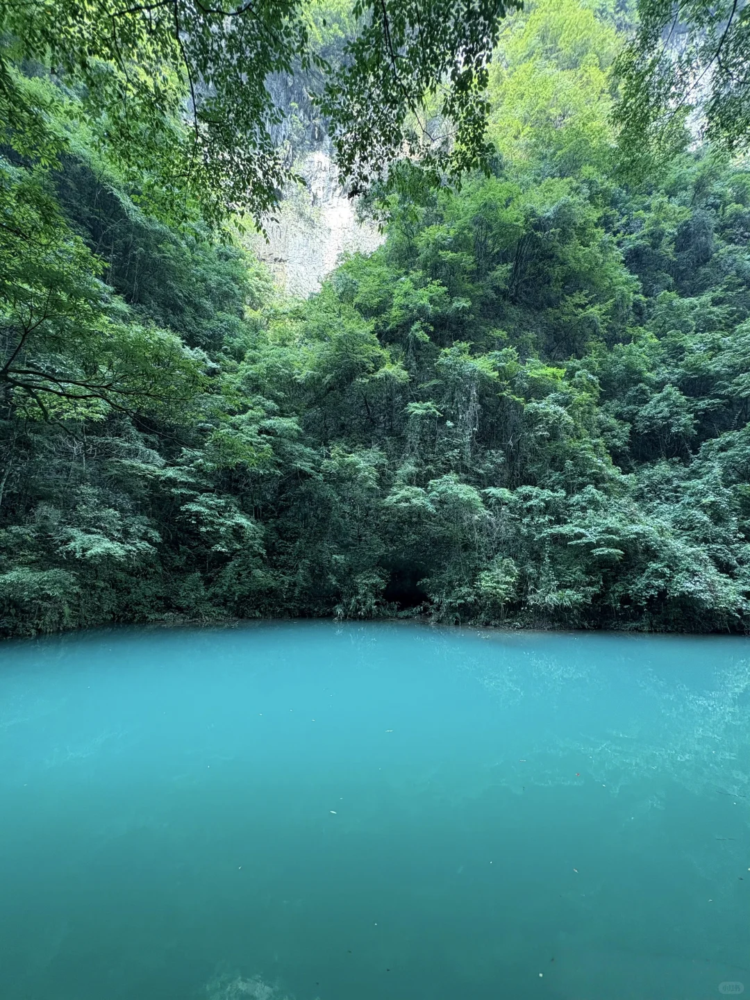 999节天阶！越过的人生尽是坦途✨