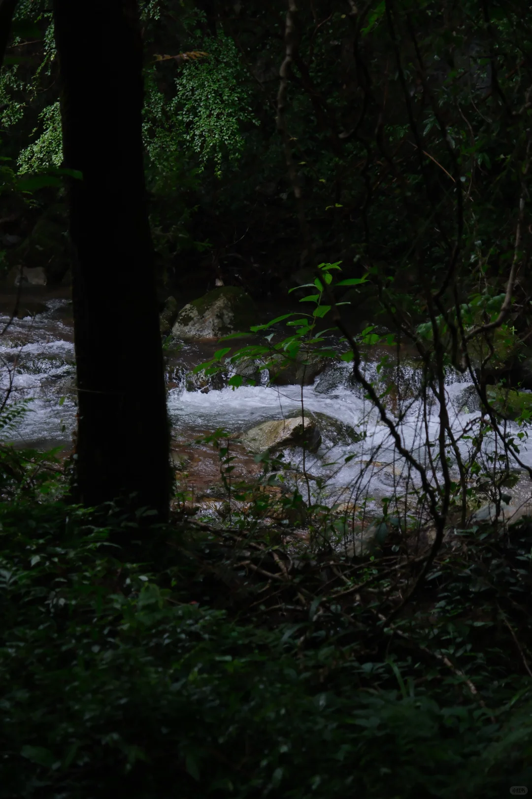 公盂48h｜仙居古村⛰️