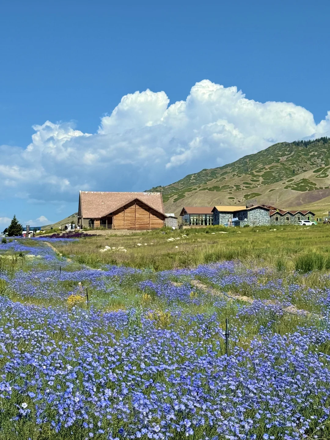 从新疆回来，一点不想上班😭