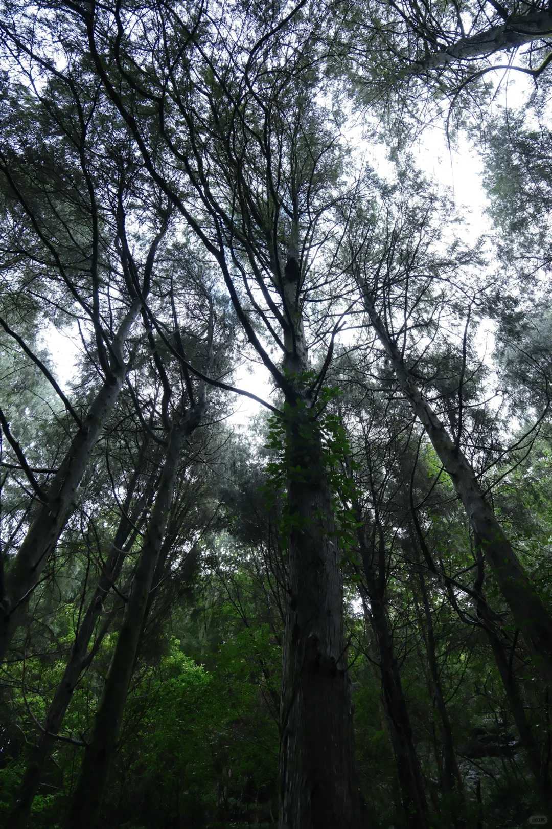 公盂48h｜仙居古村⛰️