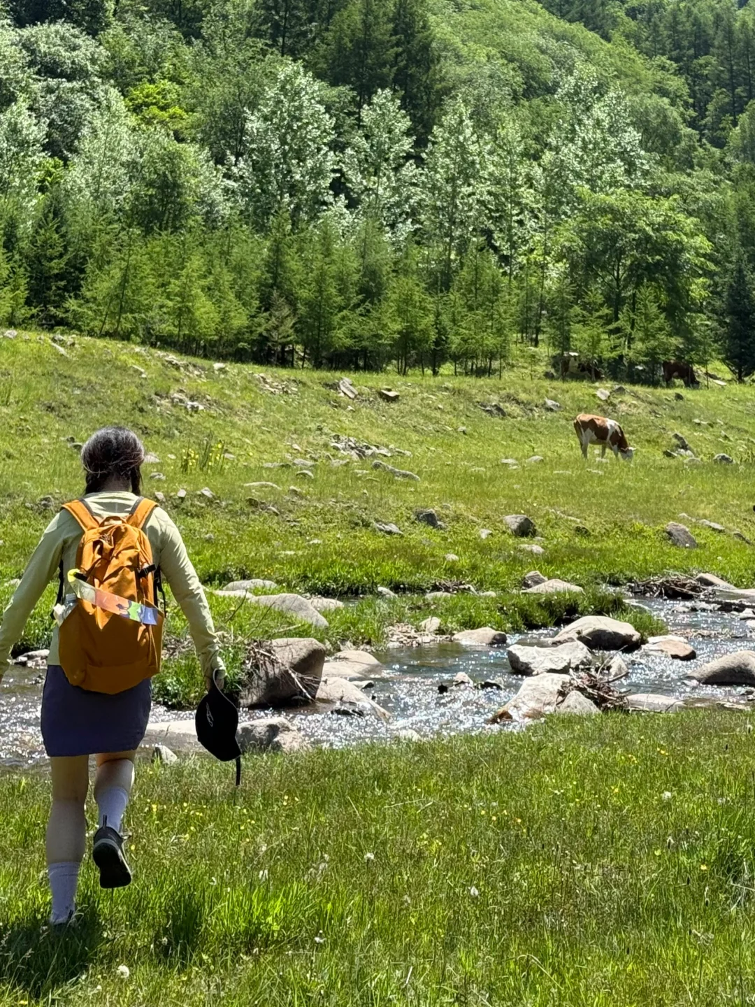 河北也有“小伊犁”？