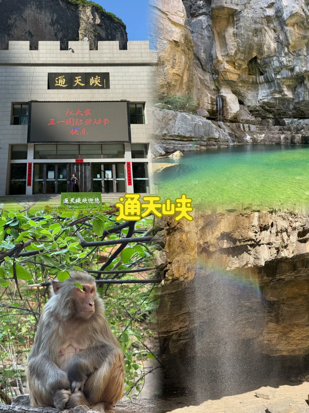 山西长治 四天家庭自驾休闲游