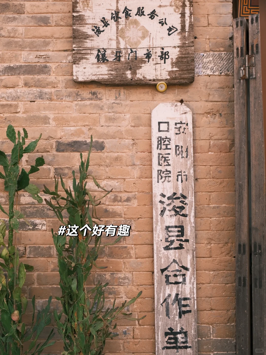 河南攻略7｜🈚️门票一日游鹤壁，轻松拿捏朝歌