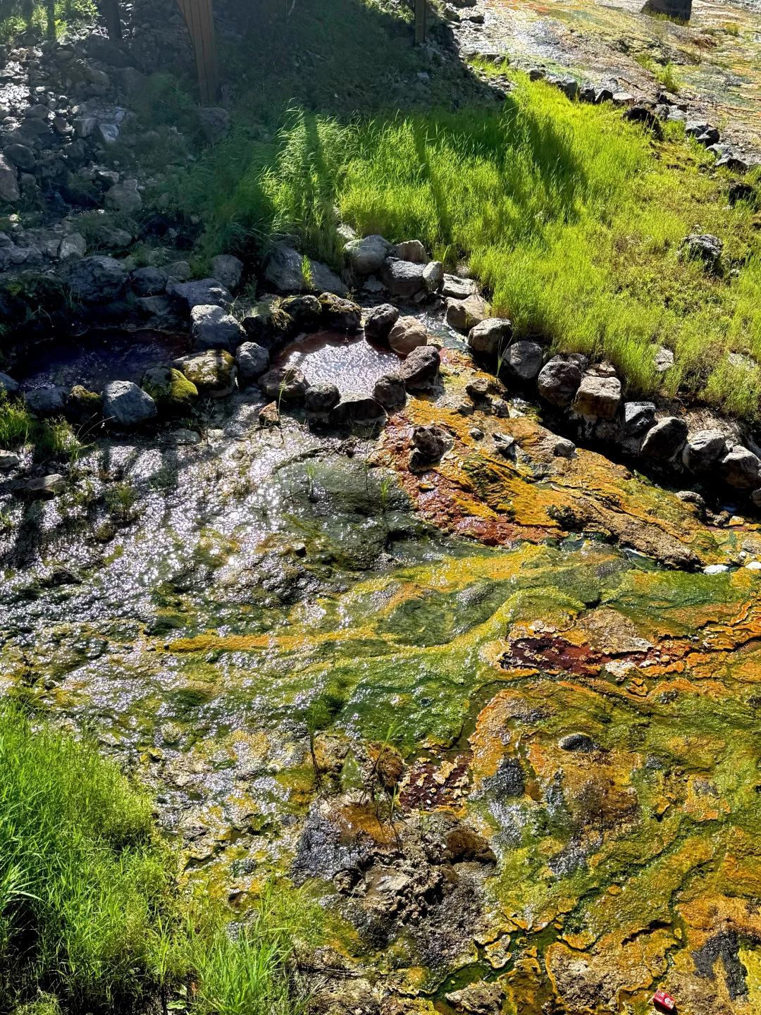 8.1的长白山天池