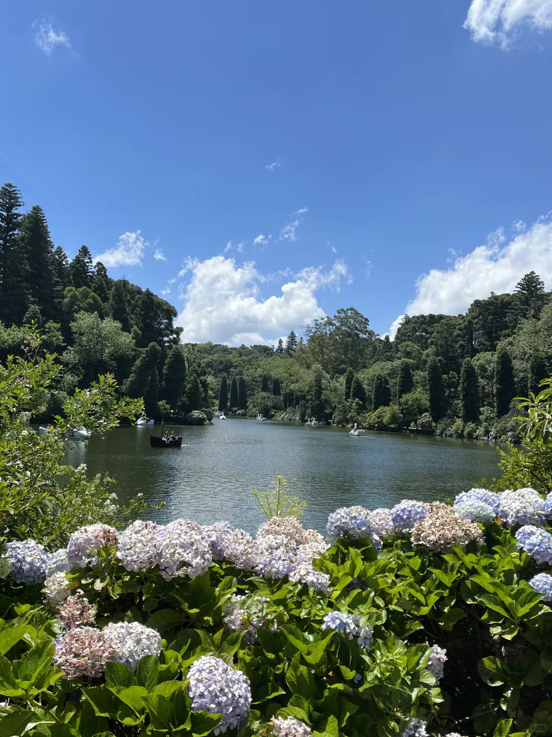📍Gramado, Brazil 巴西的魔幻城市 ✨