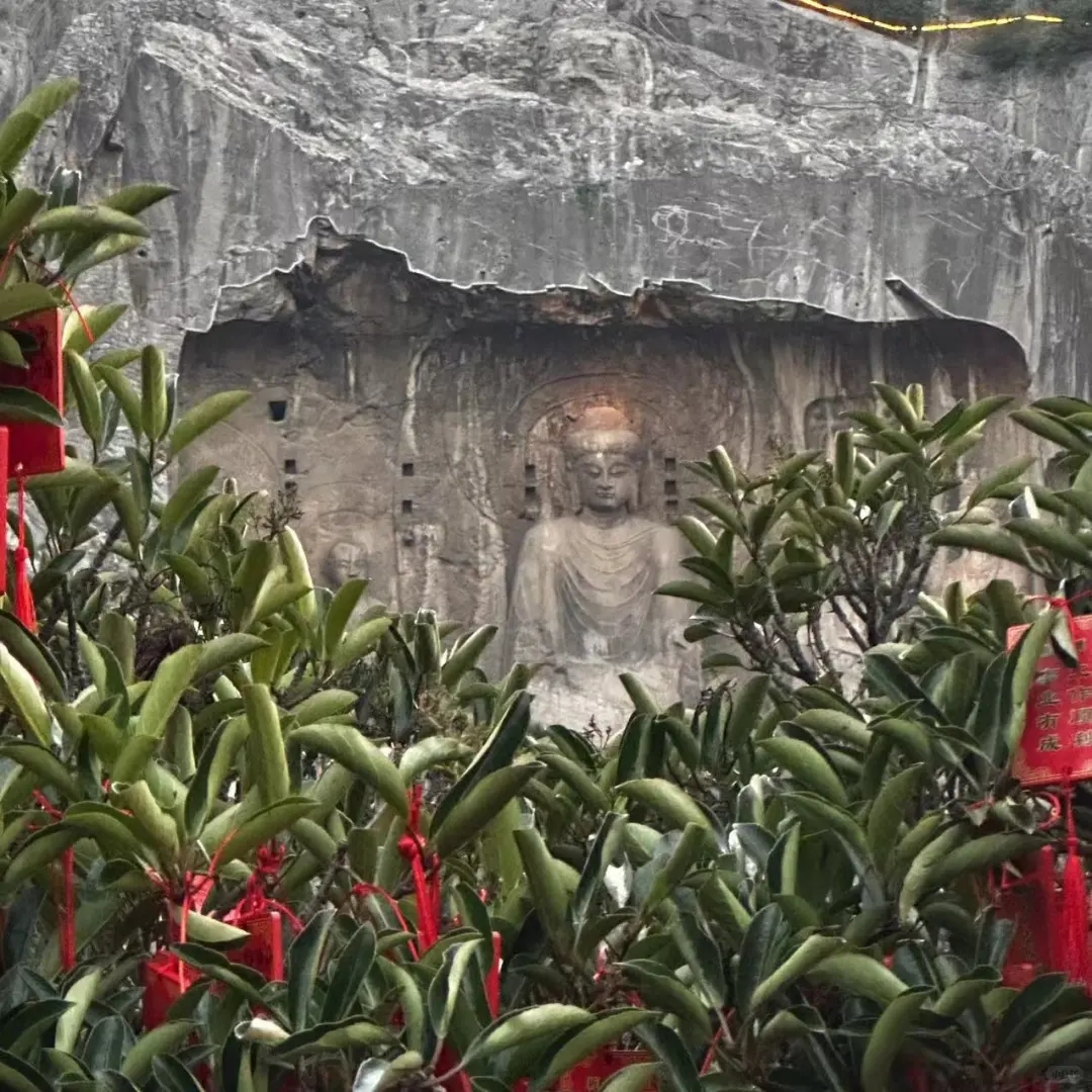 洛阳旅行·洛阳博物馆|龙门石窟