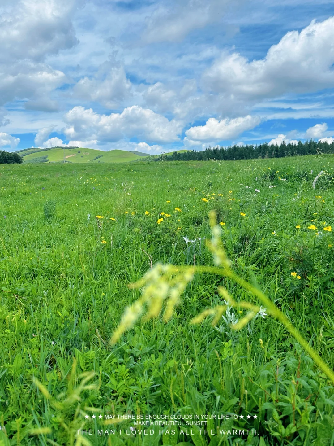 坝上草原➕马镇