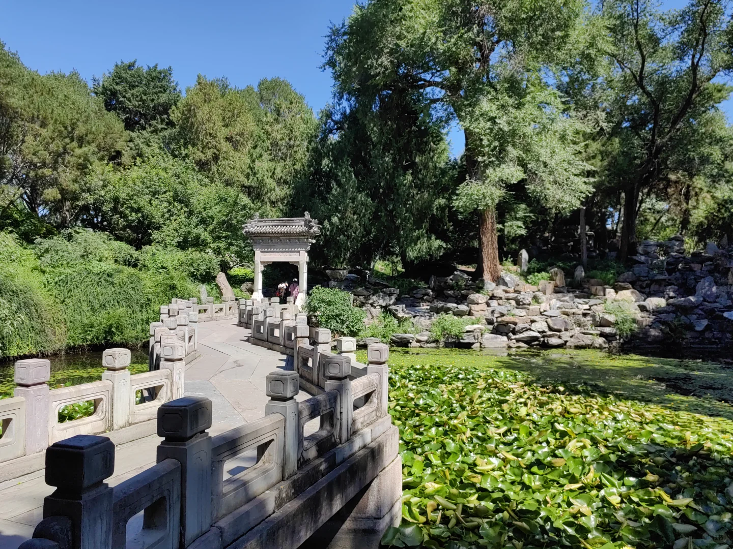 北海公园 | 濠濮间-曲径通幽园中园