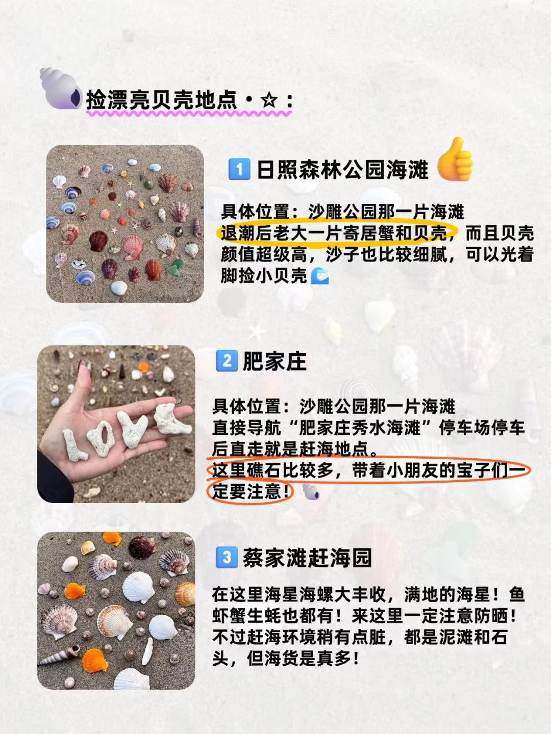🐚日照捡贝壳地点（本地人未必知道）