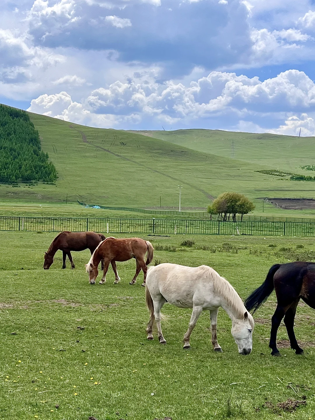 骑马爬树翻栅栏这才是承德该玩的！太松弛了！
