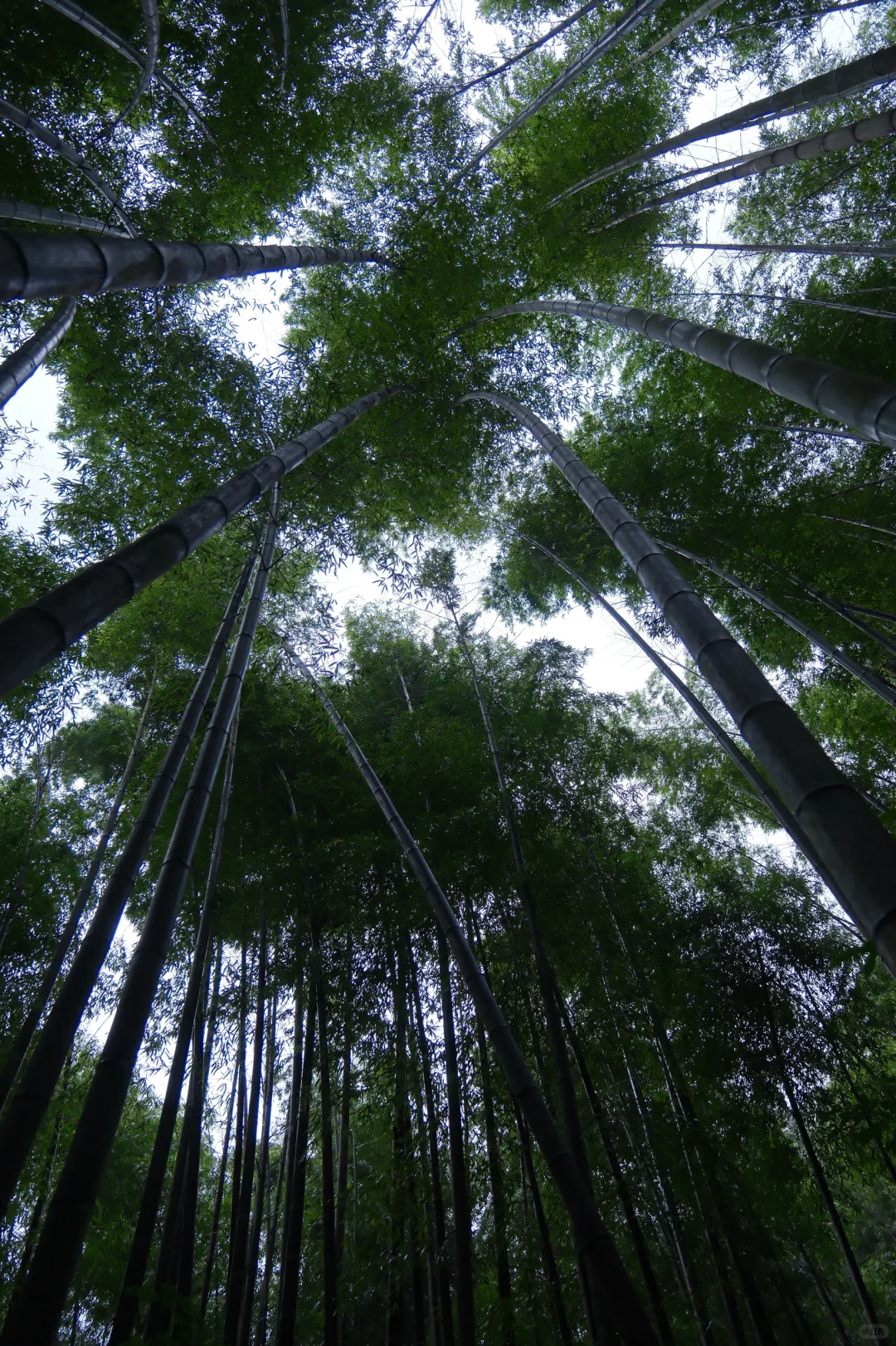 公盂48h｜仙居古村⛰️