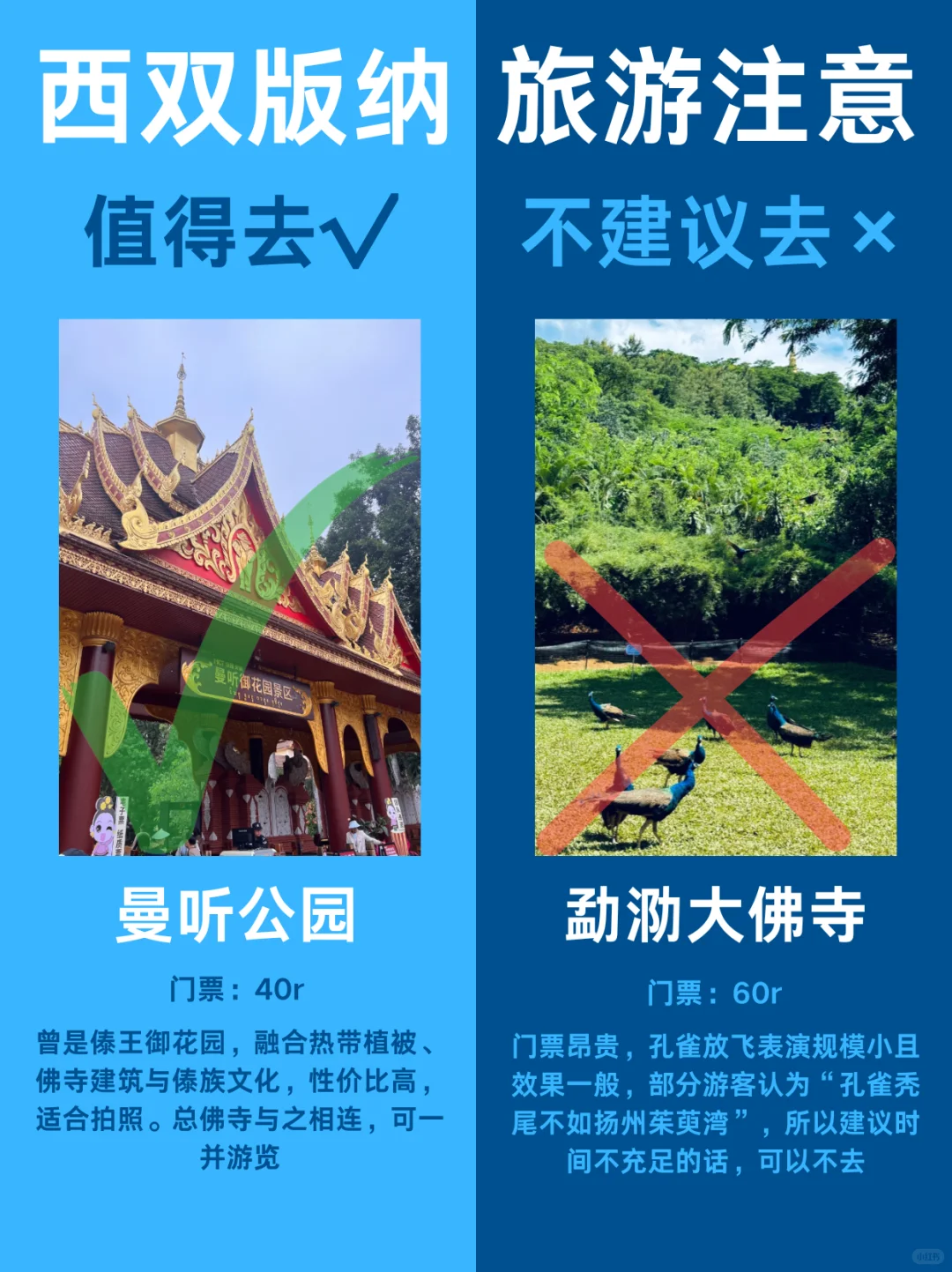 西双版纳哪些景点值得玩❓整理清楚了