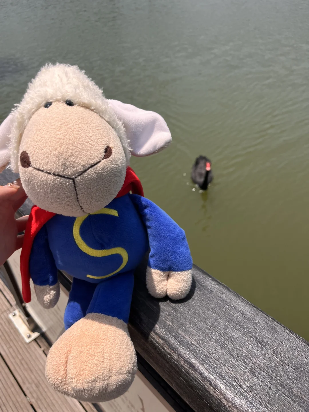 无锡济州岛！！