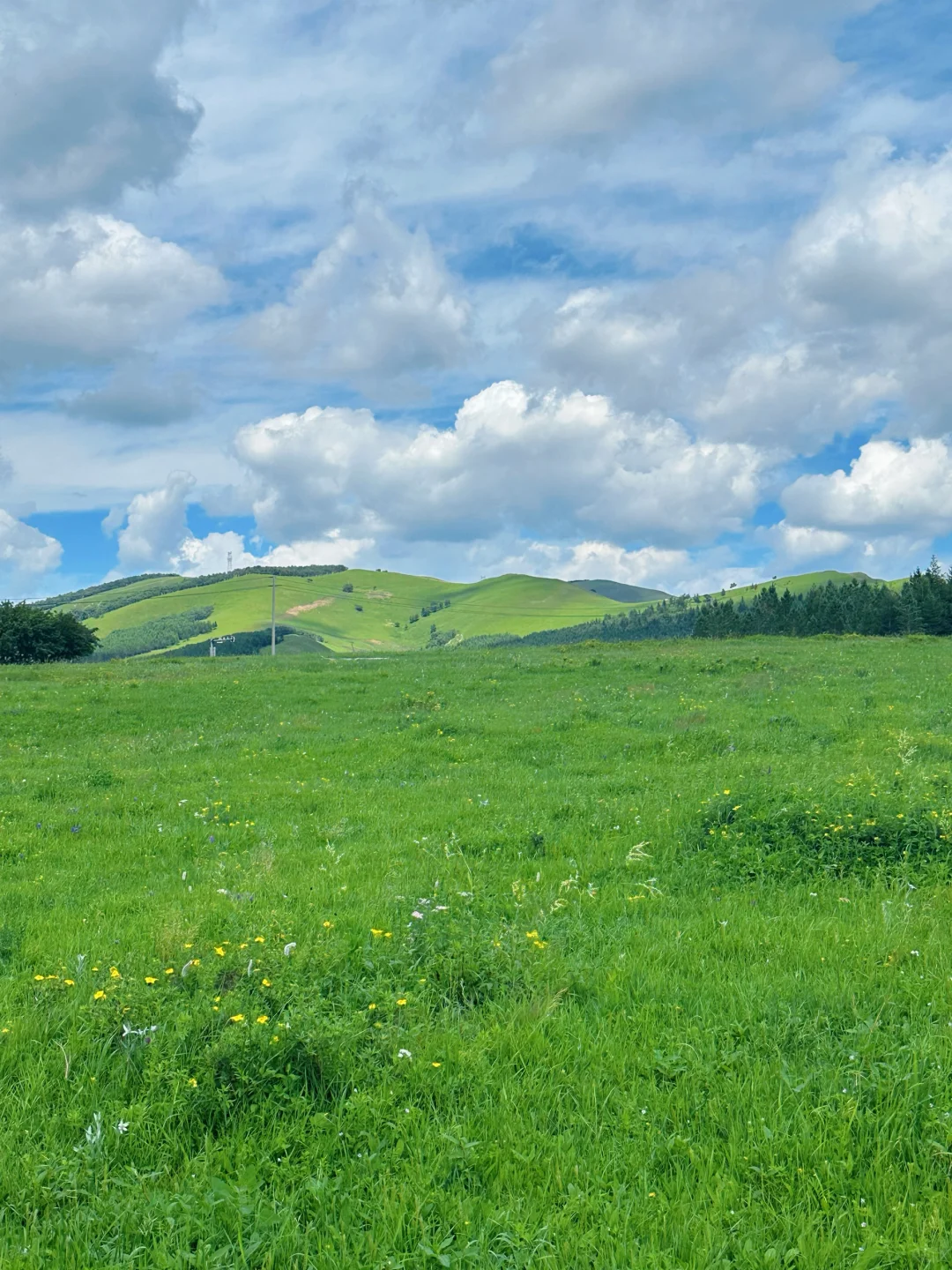 坝上草原➕马镇