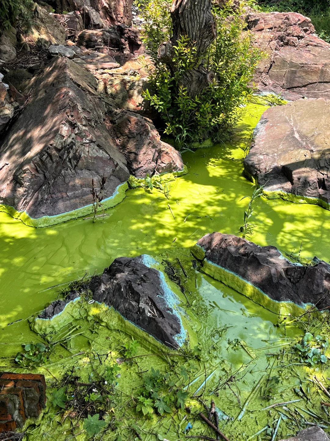 无锡济州岛！！