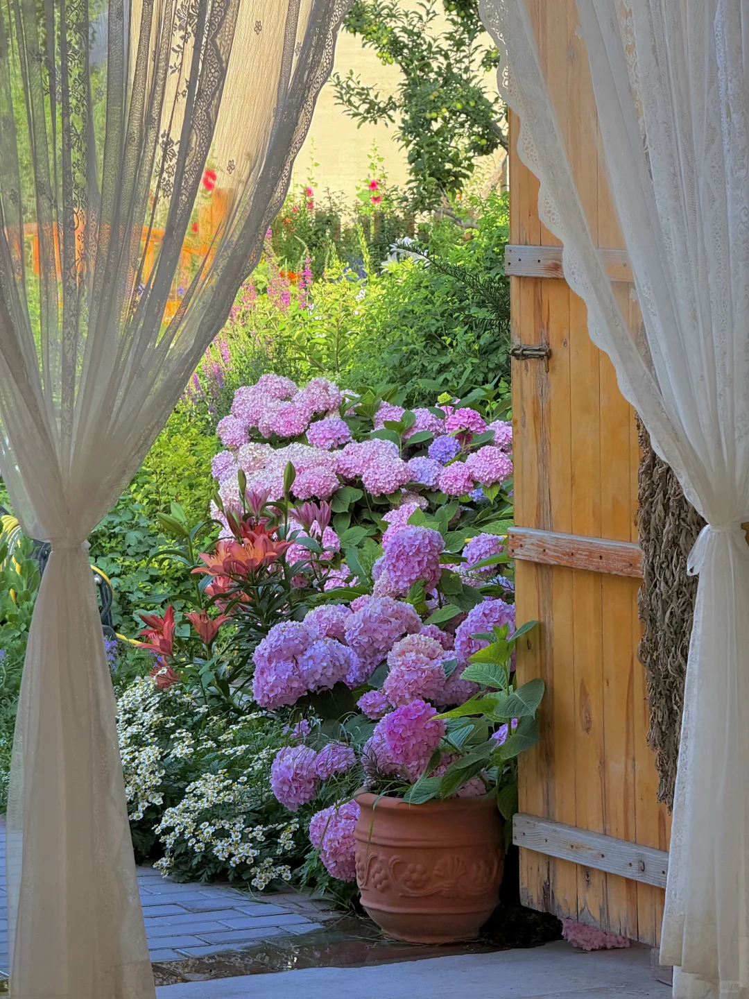 从新疆回来，一点不想上班😭