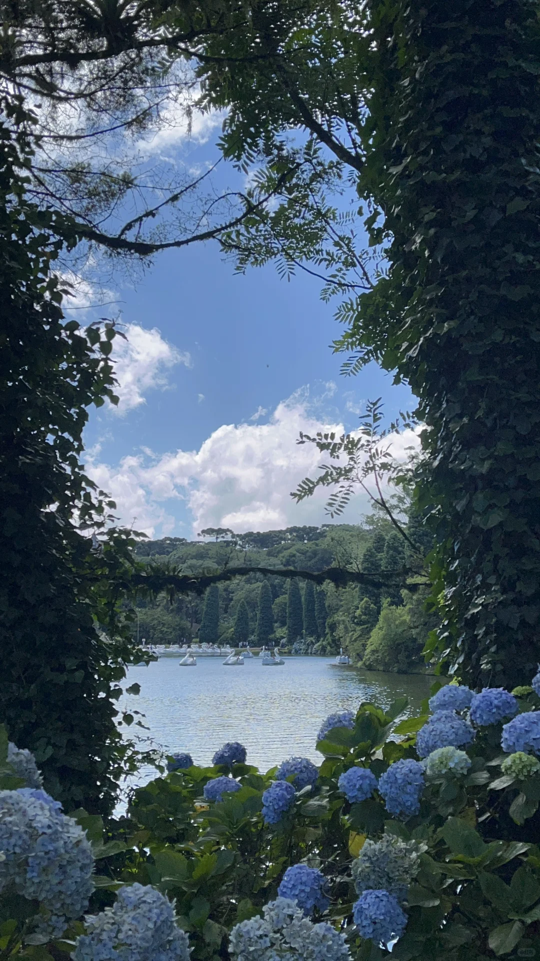 📍Gramado, Brazil 巴西的魔幻城市 ✨