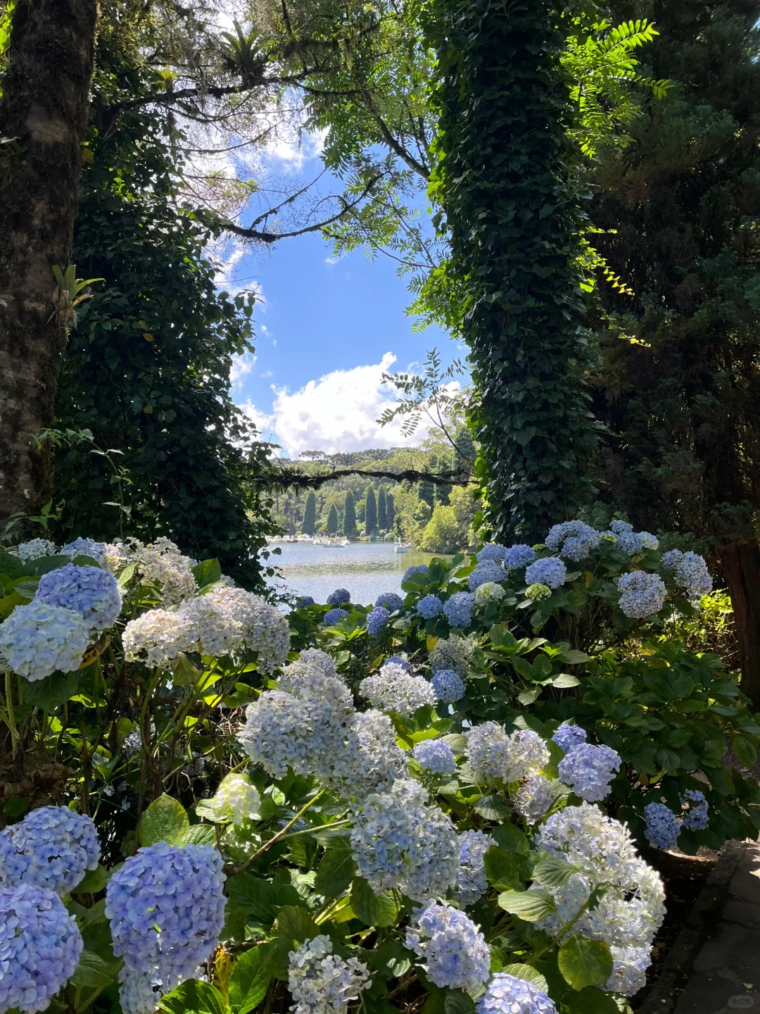📍Gramado, Brazil 巴西的魔幻城市 ✨