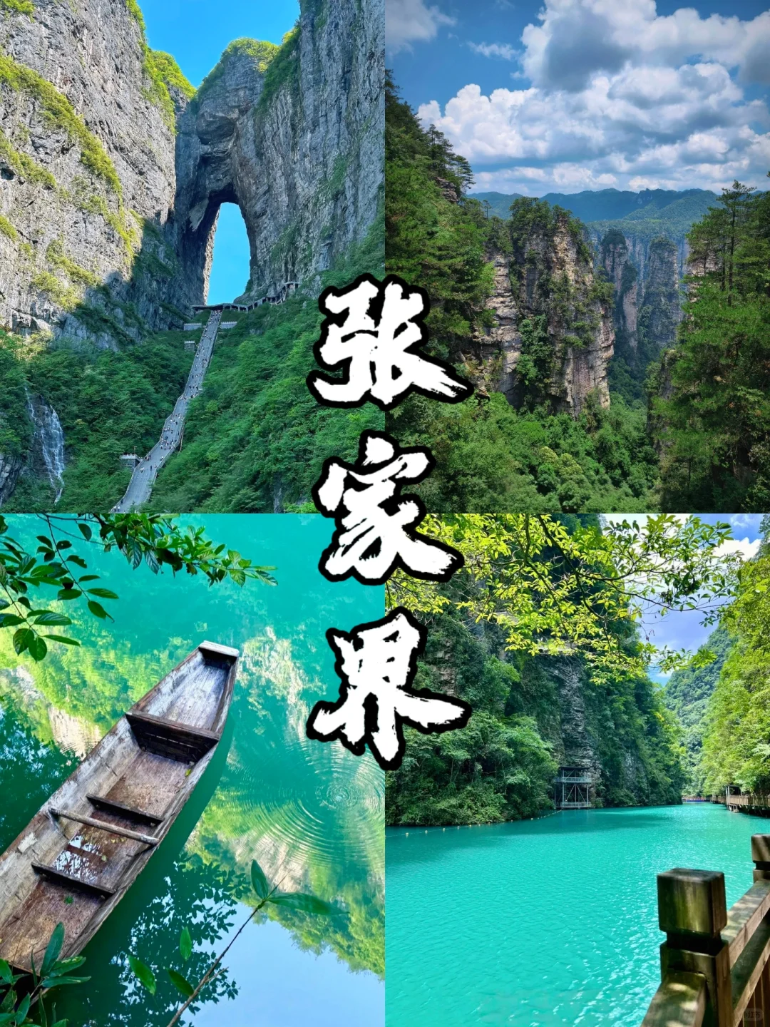 999节天阶！越过的人生尽是坦途✨