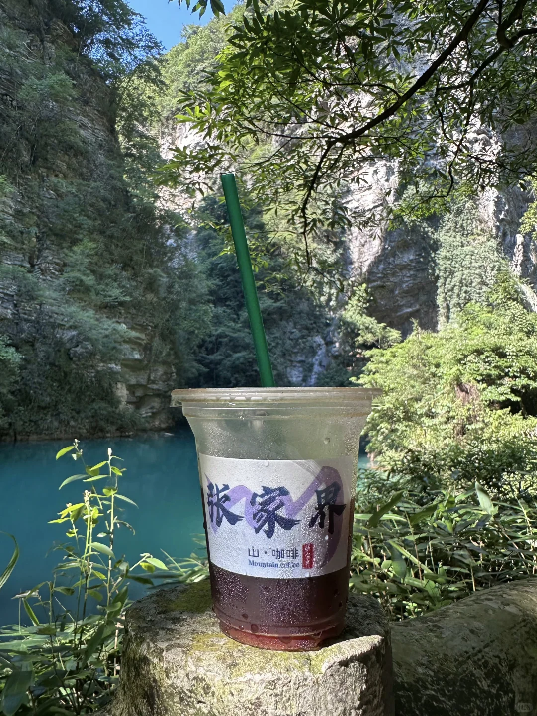 999节天阶！越过的人生尽是坦途✨