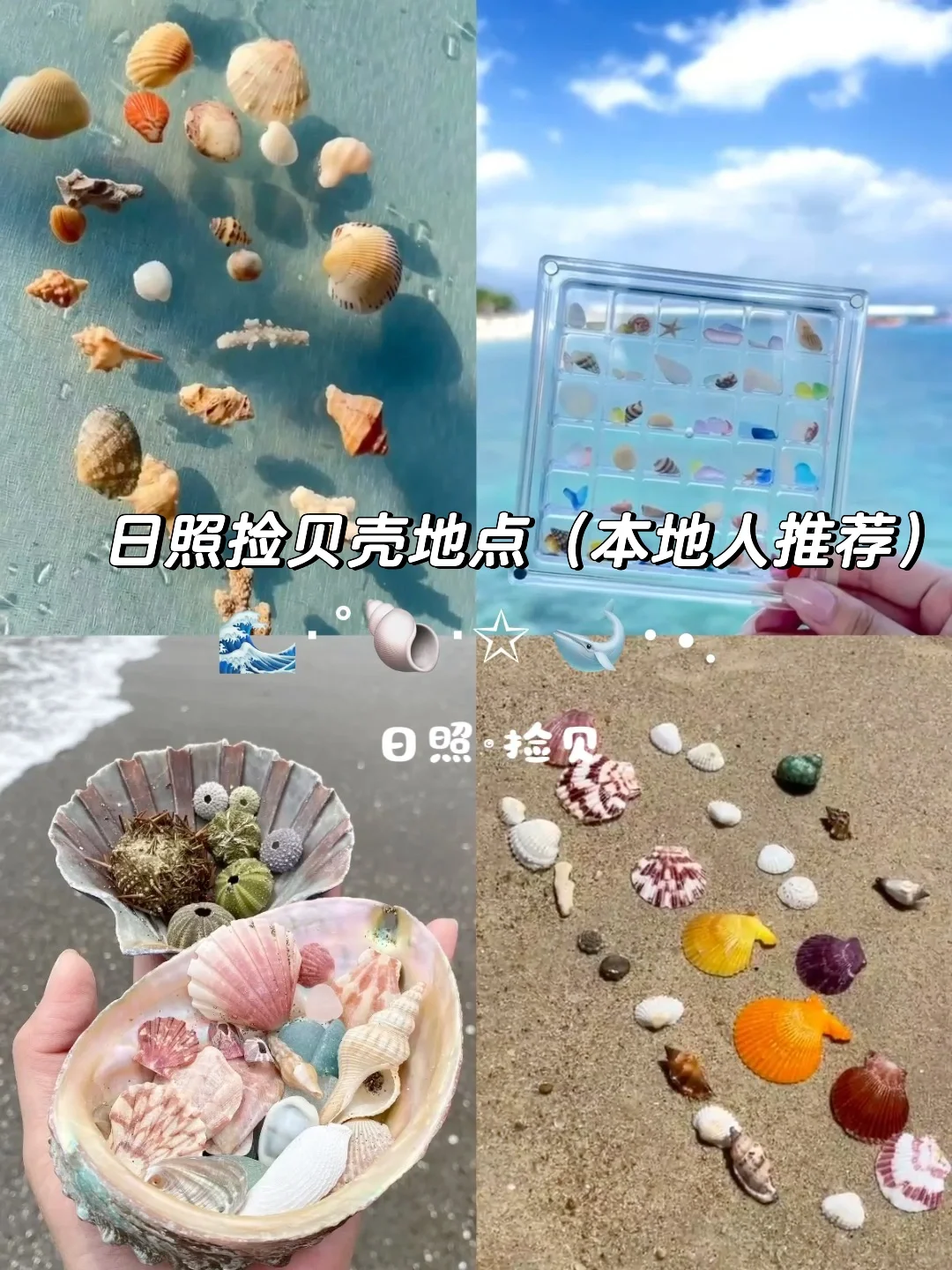 🐚日照捡贝壳地点（本地人未必知道）