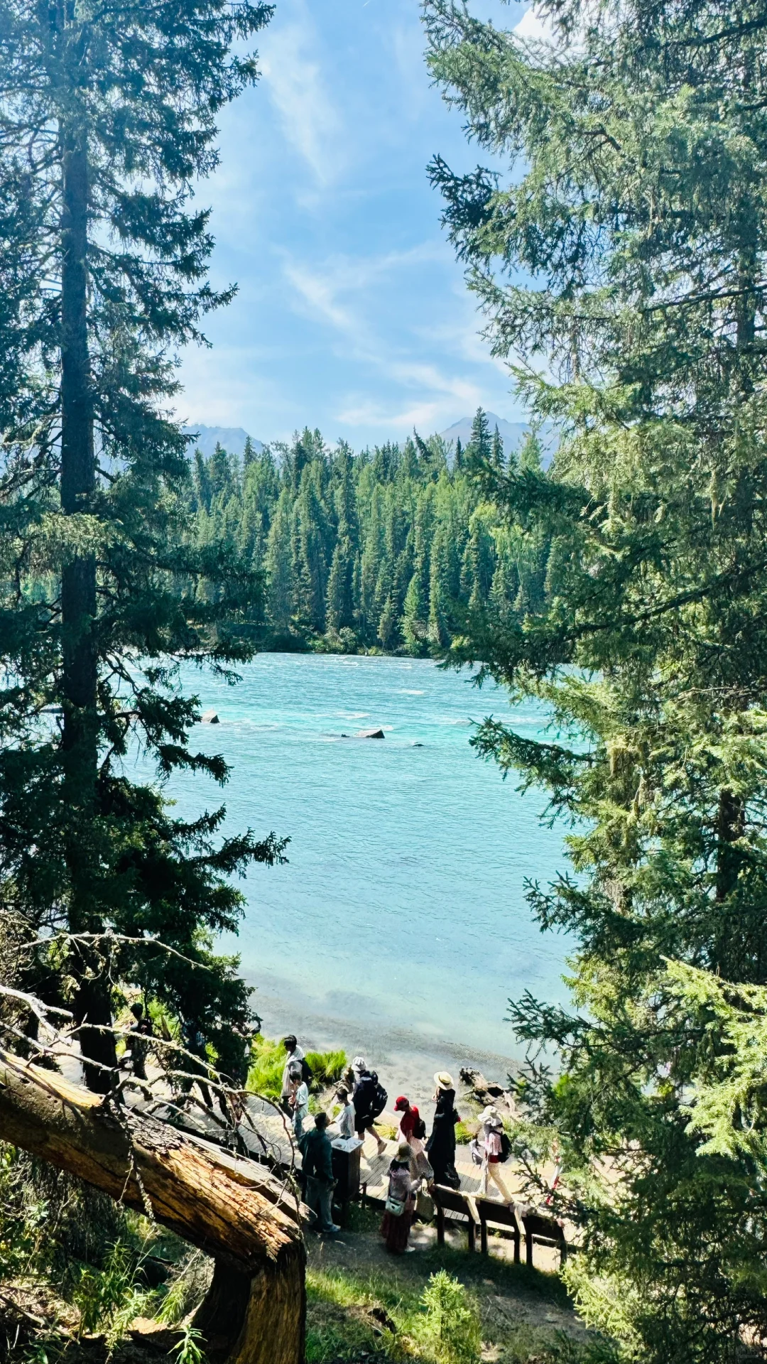 9天8晚北疆之旅结束咯