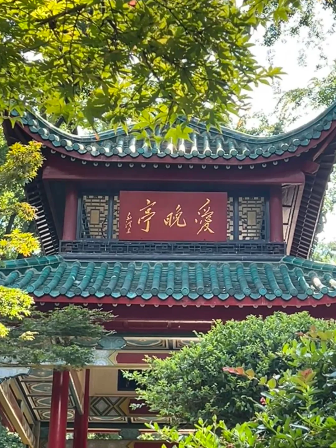 要被热鼠了，但是很开心