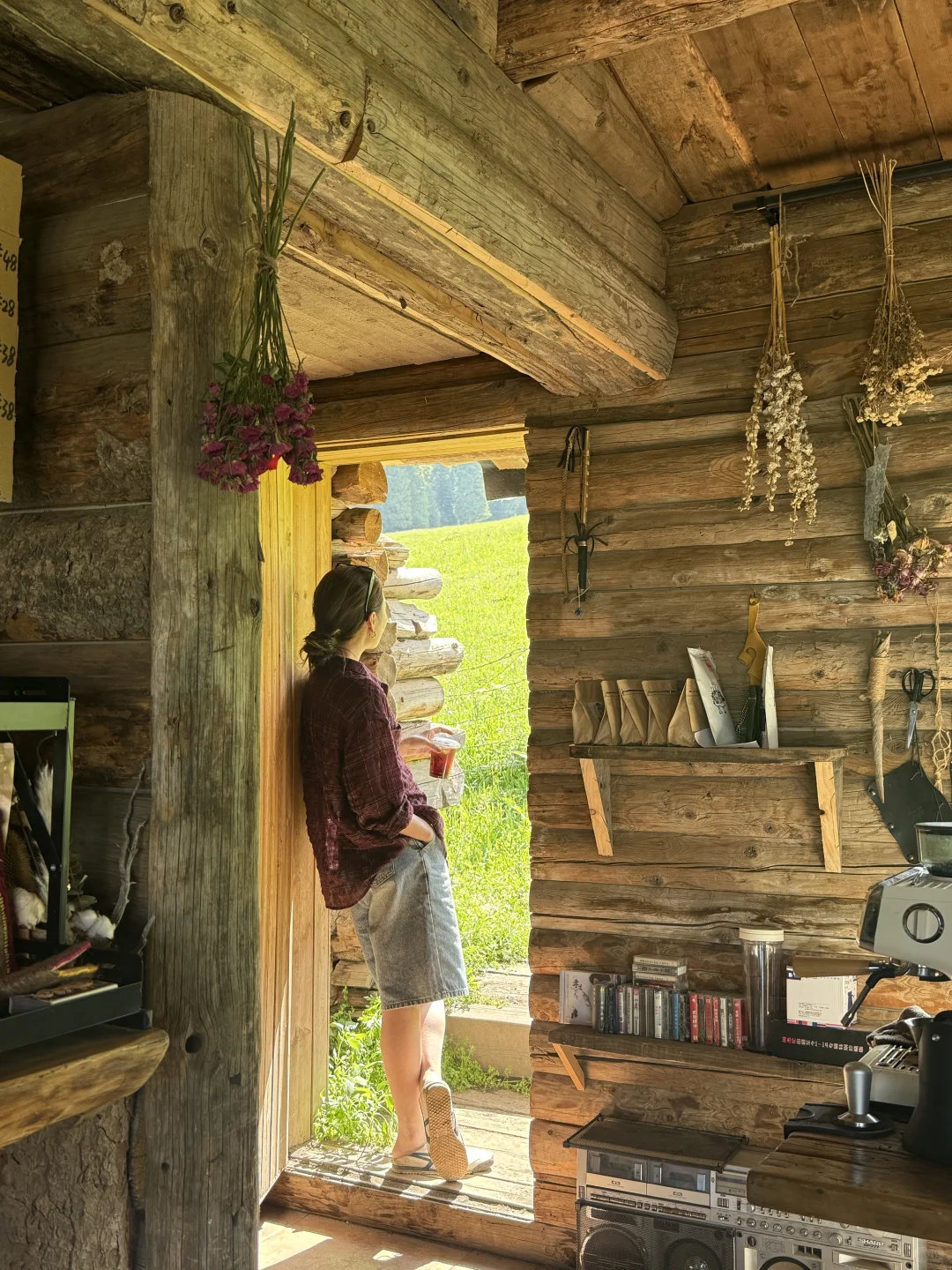 人生live！新疆的夏天真的是人间理想🌲🐑🐂