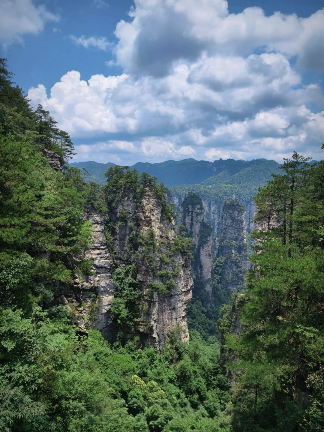 999节天阶！越过的人生尽是坦途✨