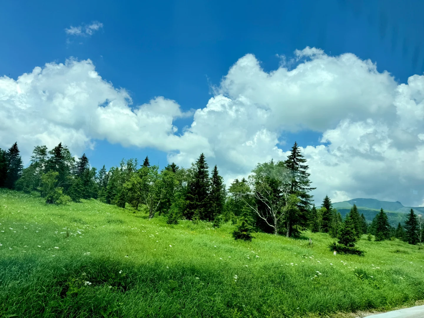 长白山西坡天池实况💥超详细攻略