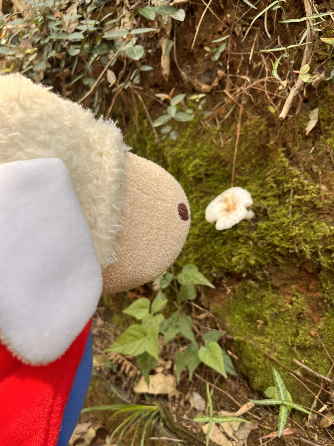 无锡济州岛！！