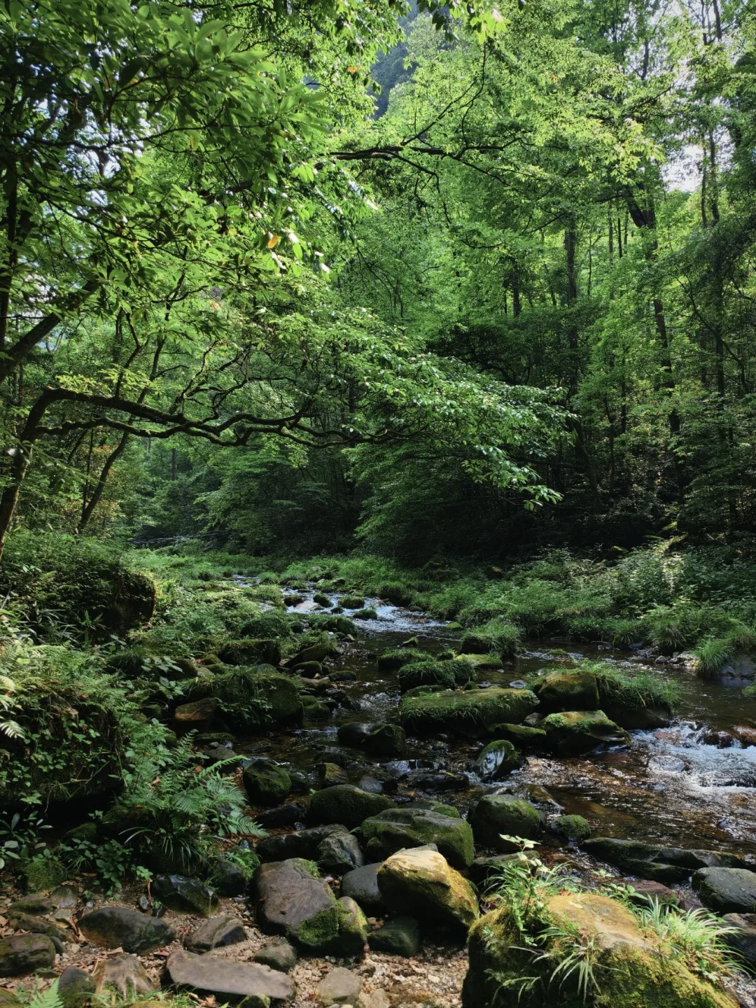 999节天阶！越过的人生尽是坦途✨