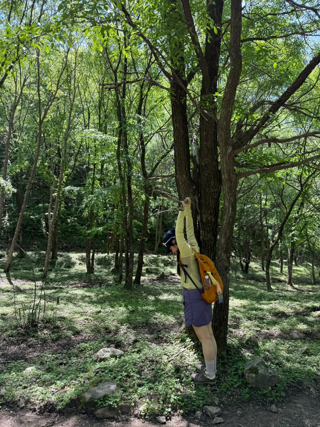 河北也有“小伊犁”？