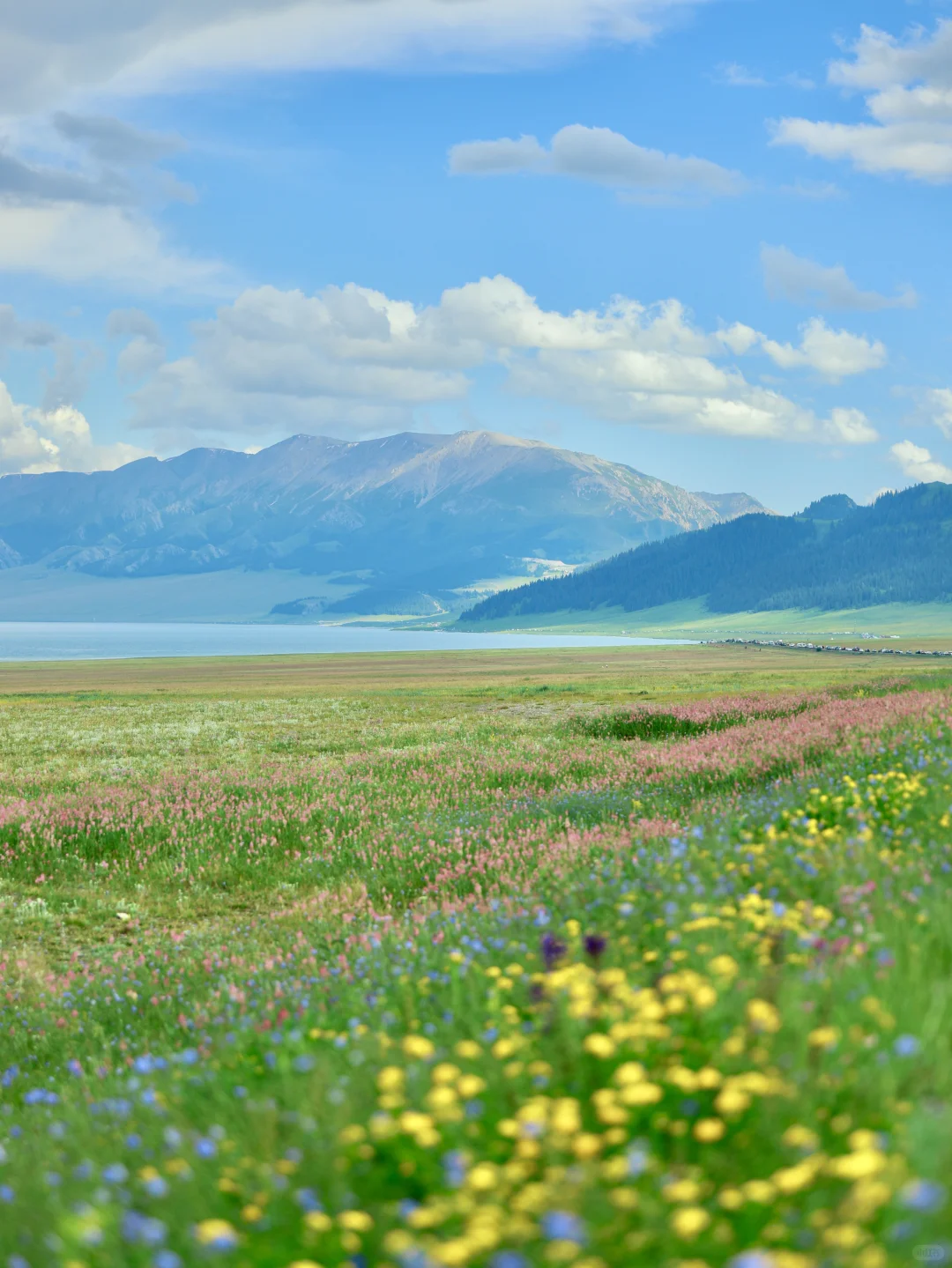 从新疆回来，一点不想上班😭