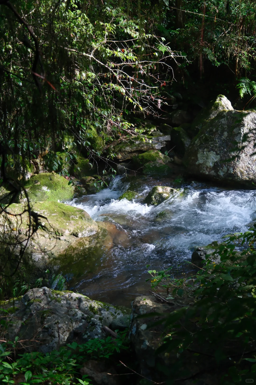 公盂48h｜仙居古村⛰️