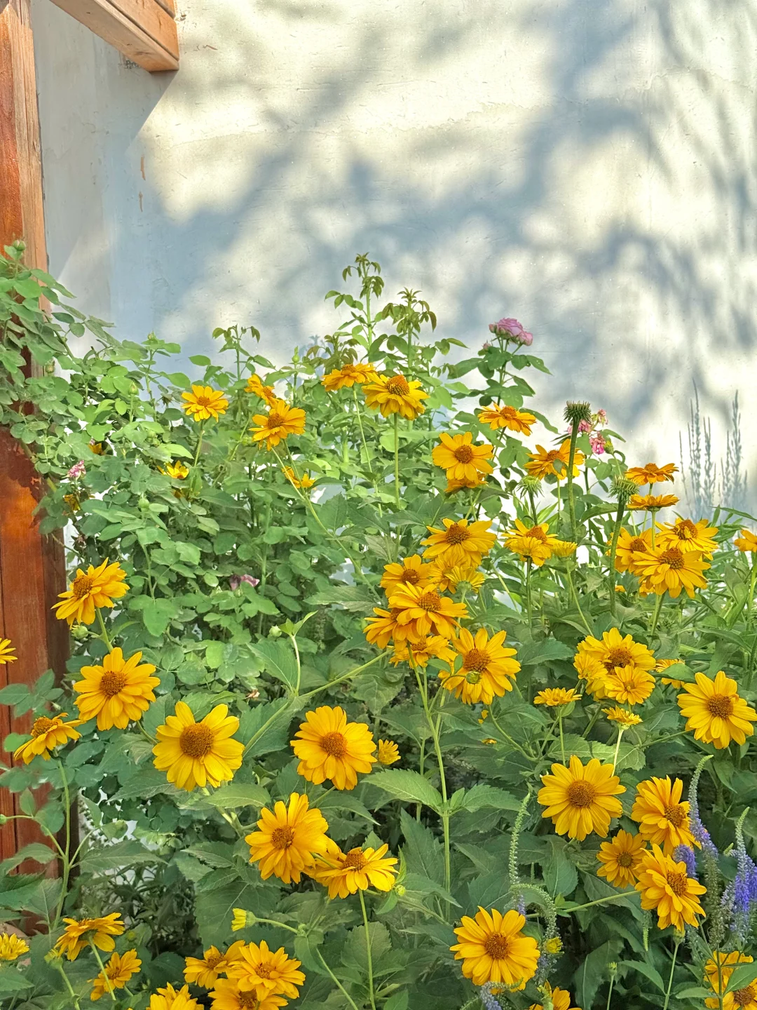 从新疆回来，一点不想上班😭