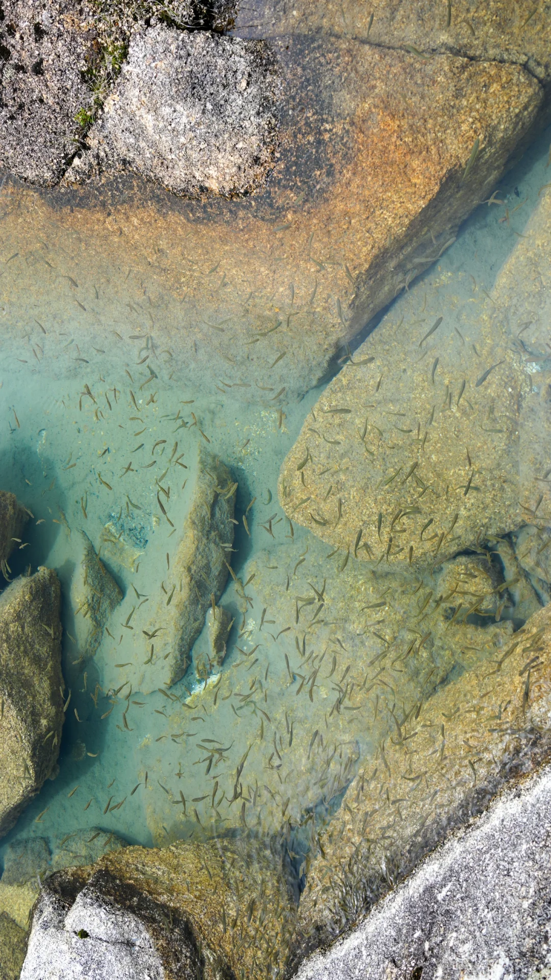 川西最低调的景区却美得不像话