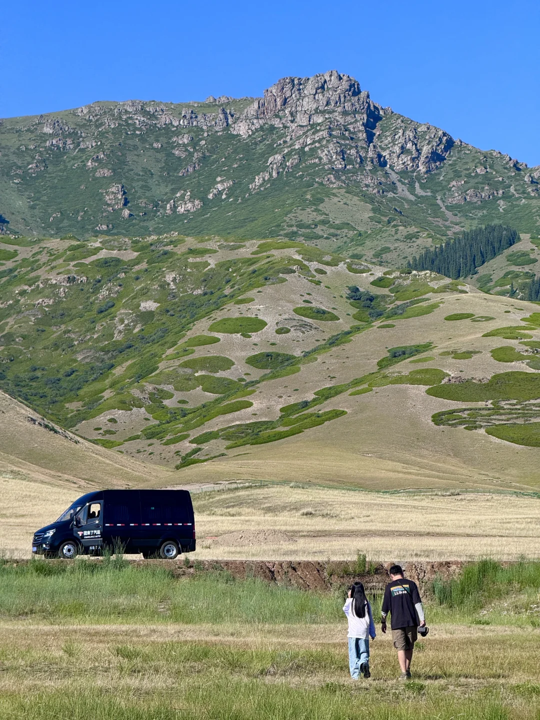 人生live！新疆的夏天真的是人间理想🌲🐑🐂