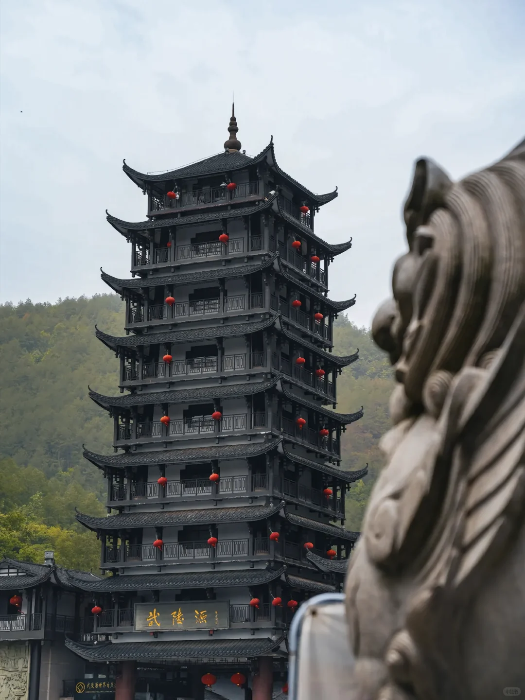 999节天阶！越过的人生尽是坦途✨