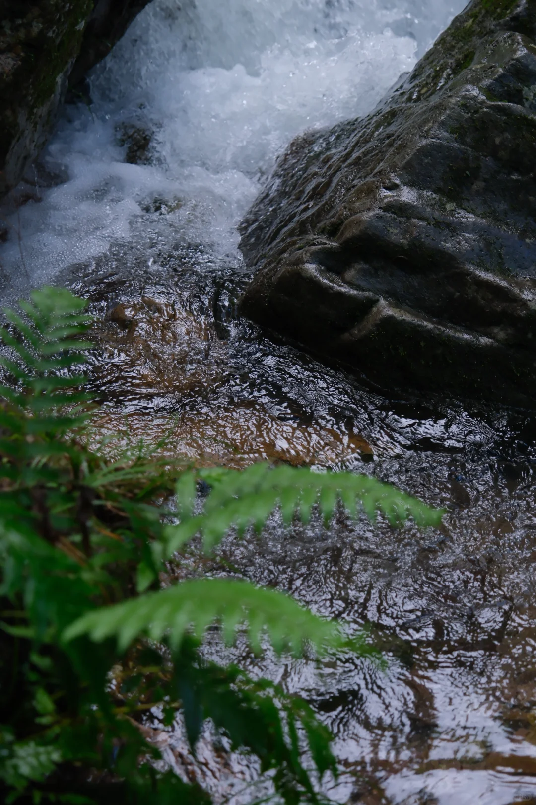 公盂48h｜仙居古村⛰️