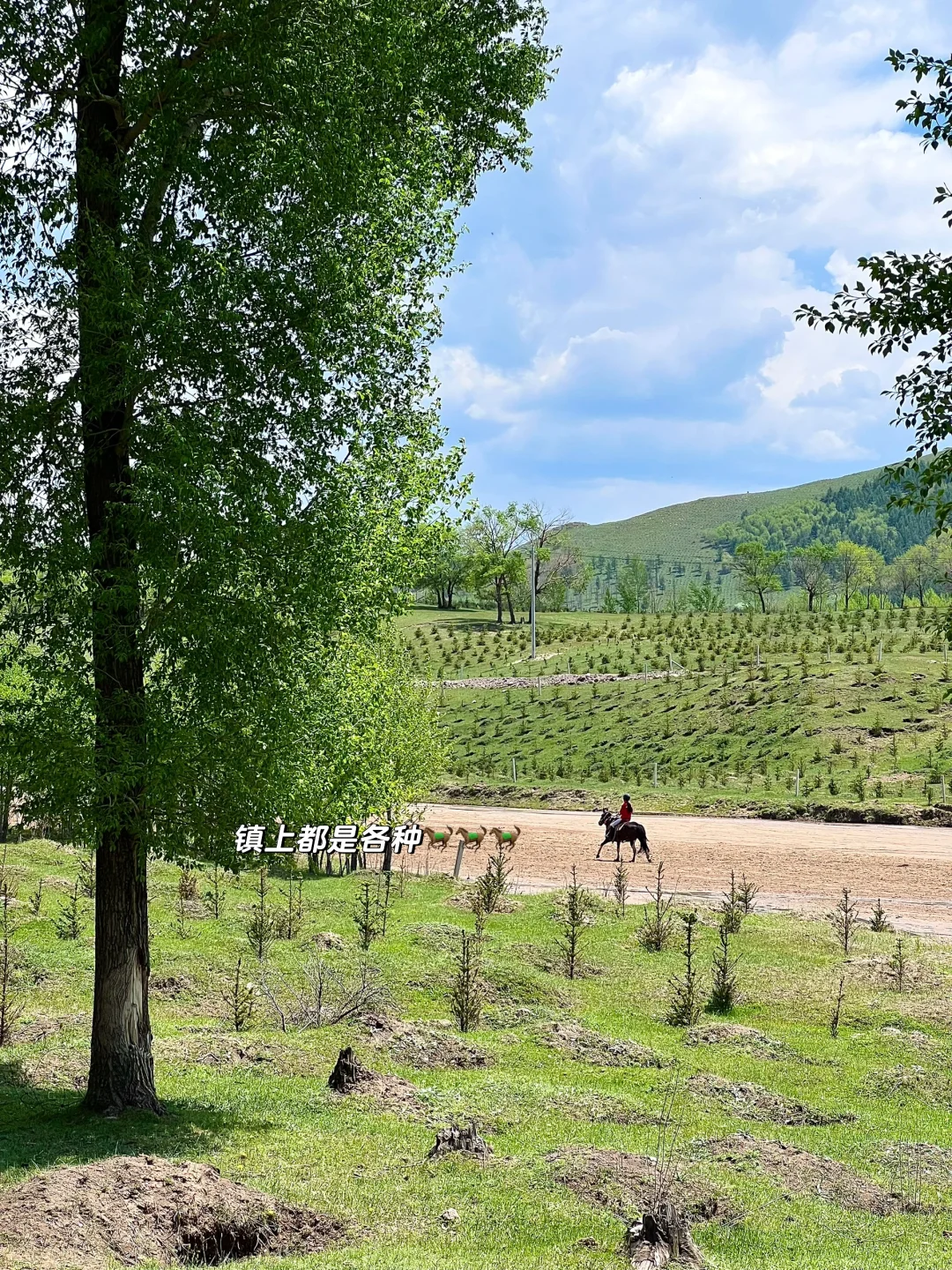骑马爬树翻栅栏这才是承德该玩的！太松弛了！