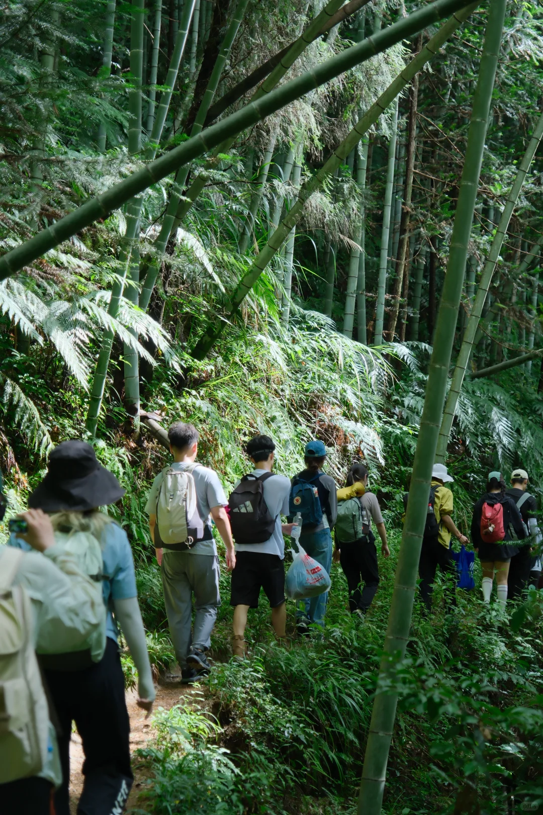 公盂48h｜仙居古村⛰️