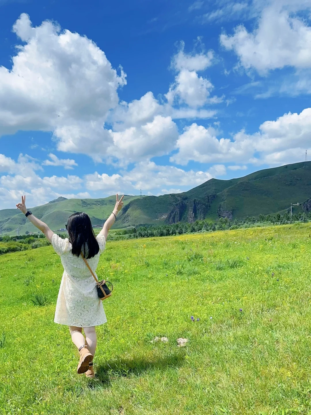 坝上草原➕马镇