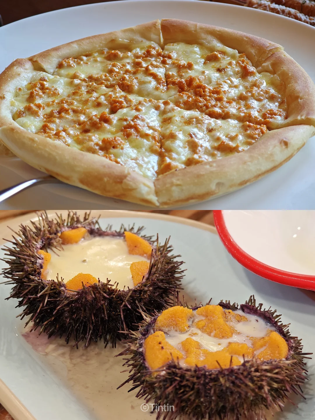 逃离天津计划：大连。