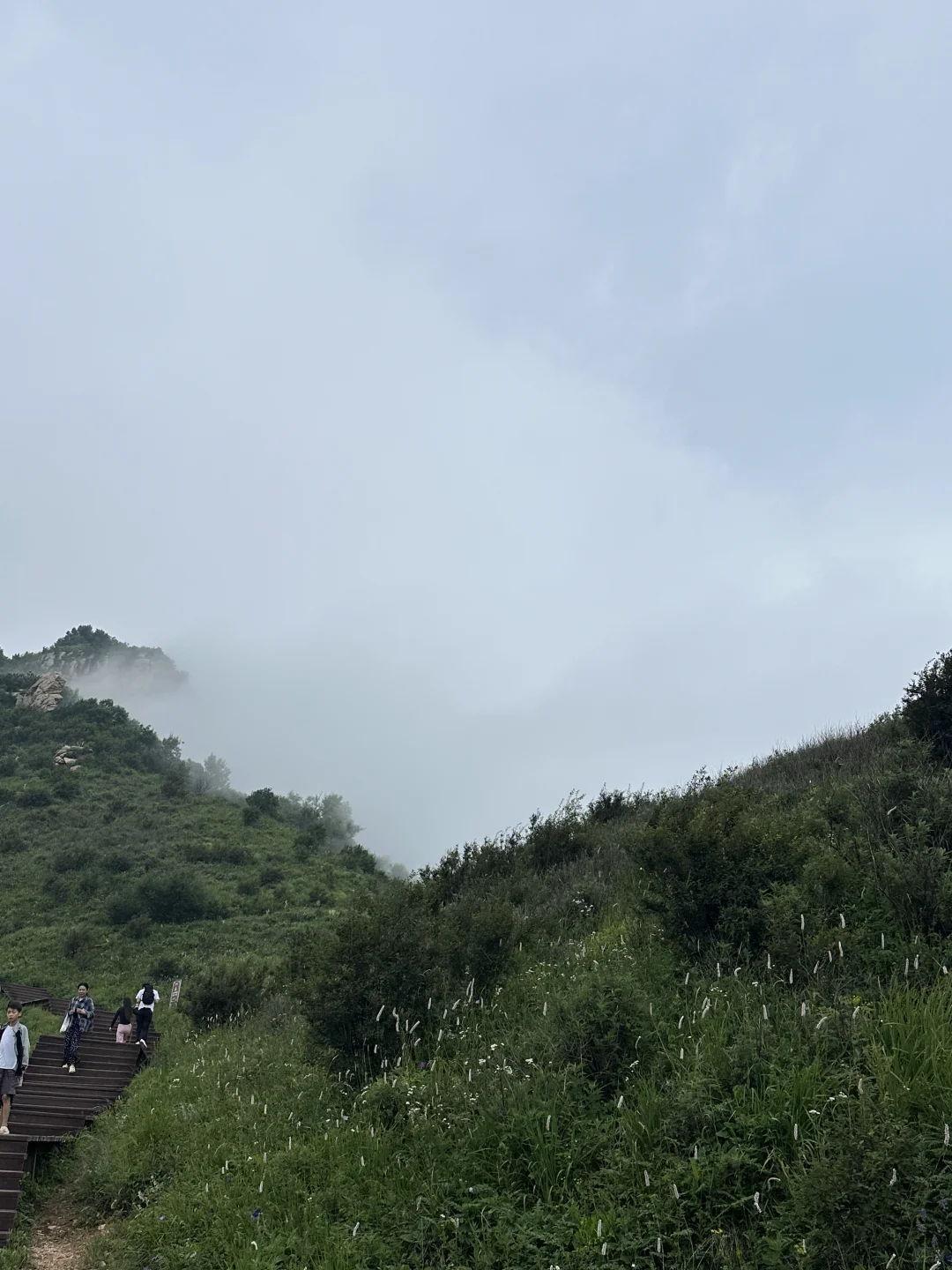 驼梁| 石家庄阿勒泰